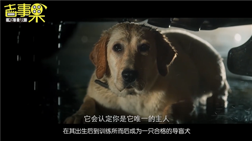2_副本.png