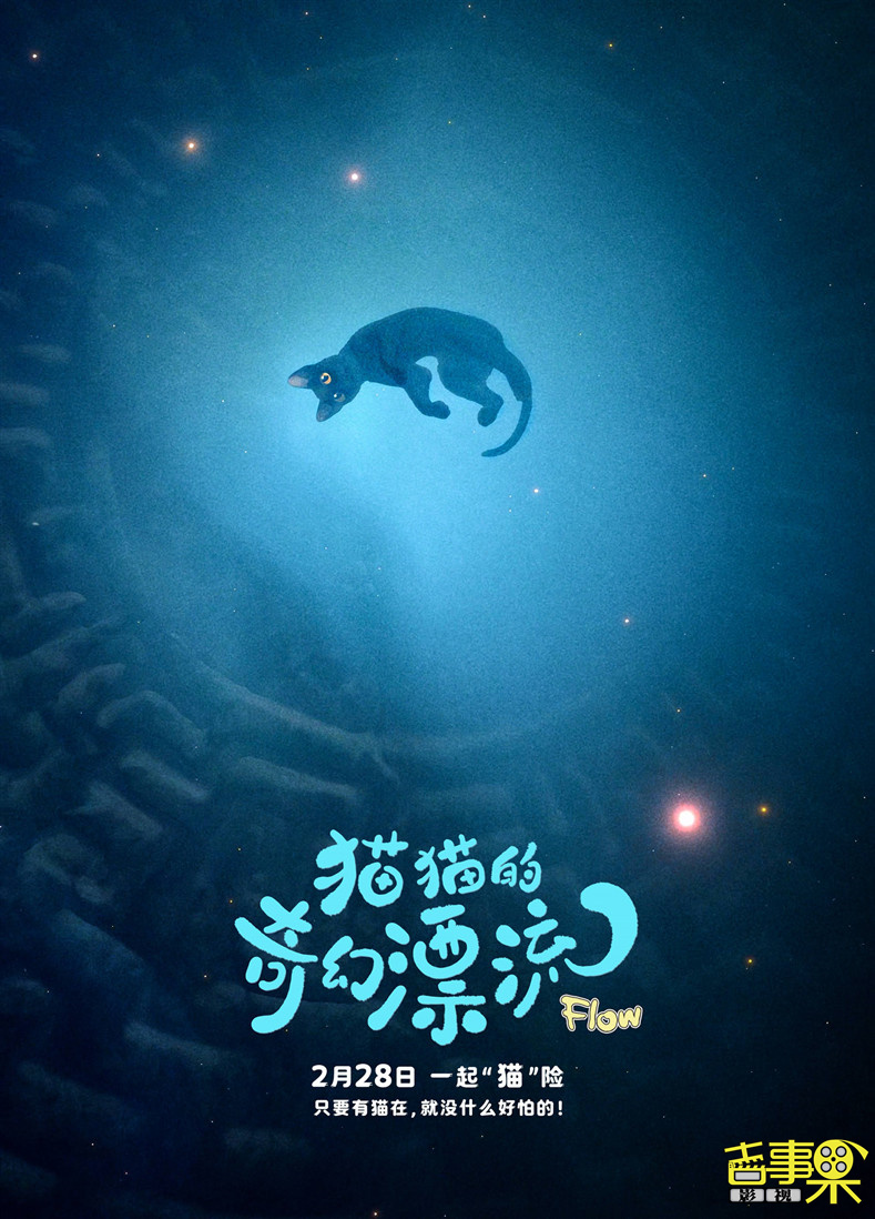 奥斯卡双提名动画电影《猫猫的奇幻漂流》今日开启预售
